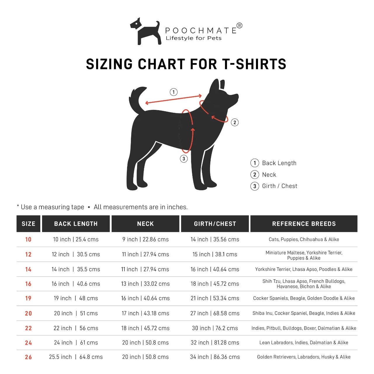 PoochMate Blue Pocket Dog T-Shirt