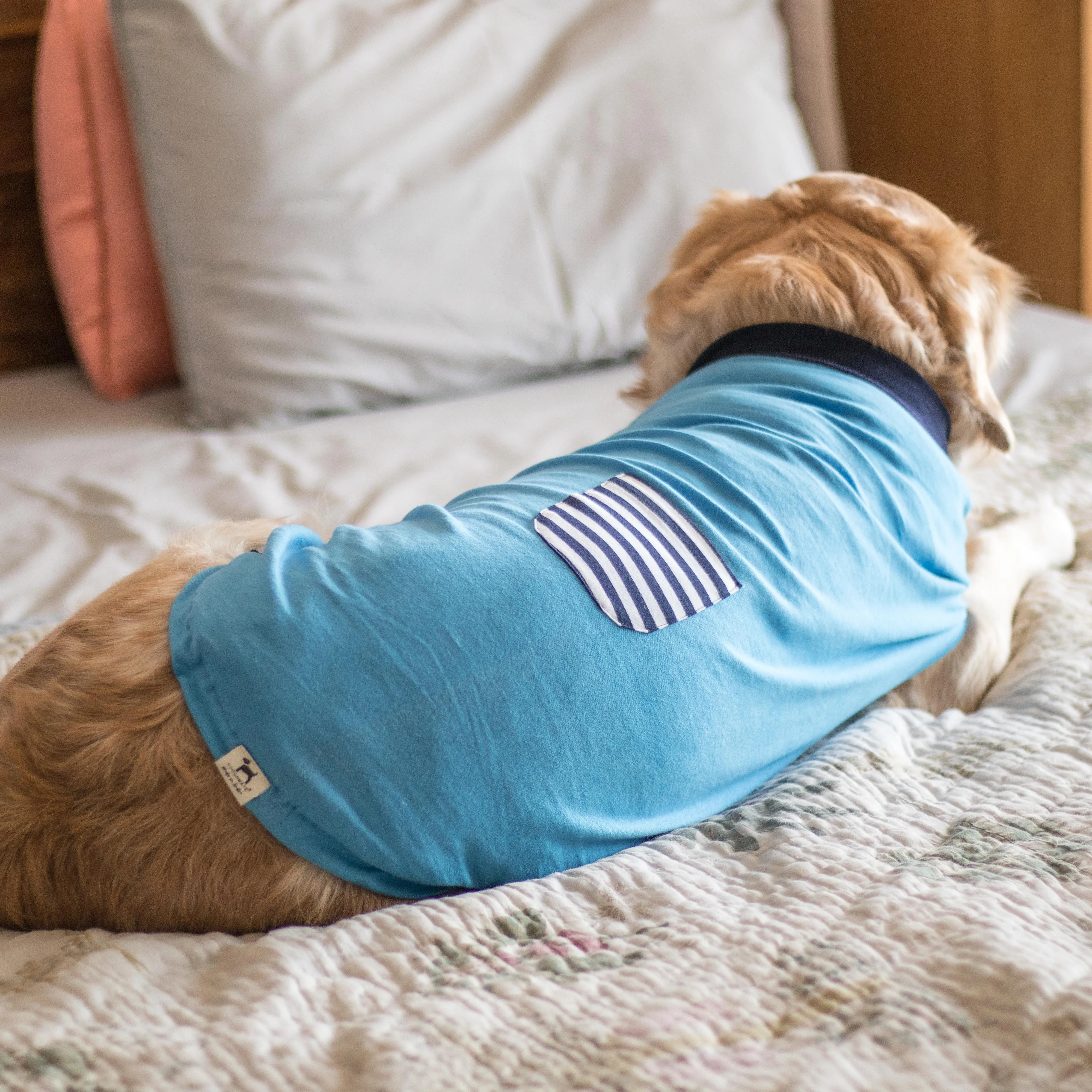PoochMate Blue Pocket Dog T-Shirt