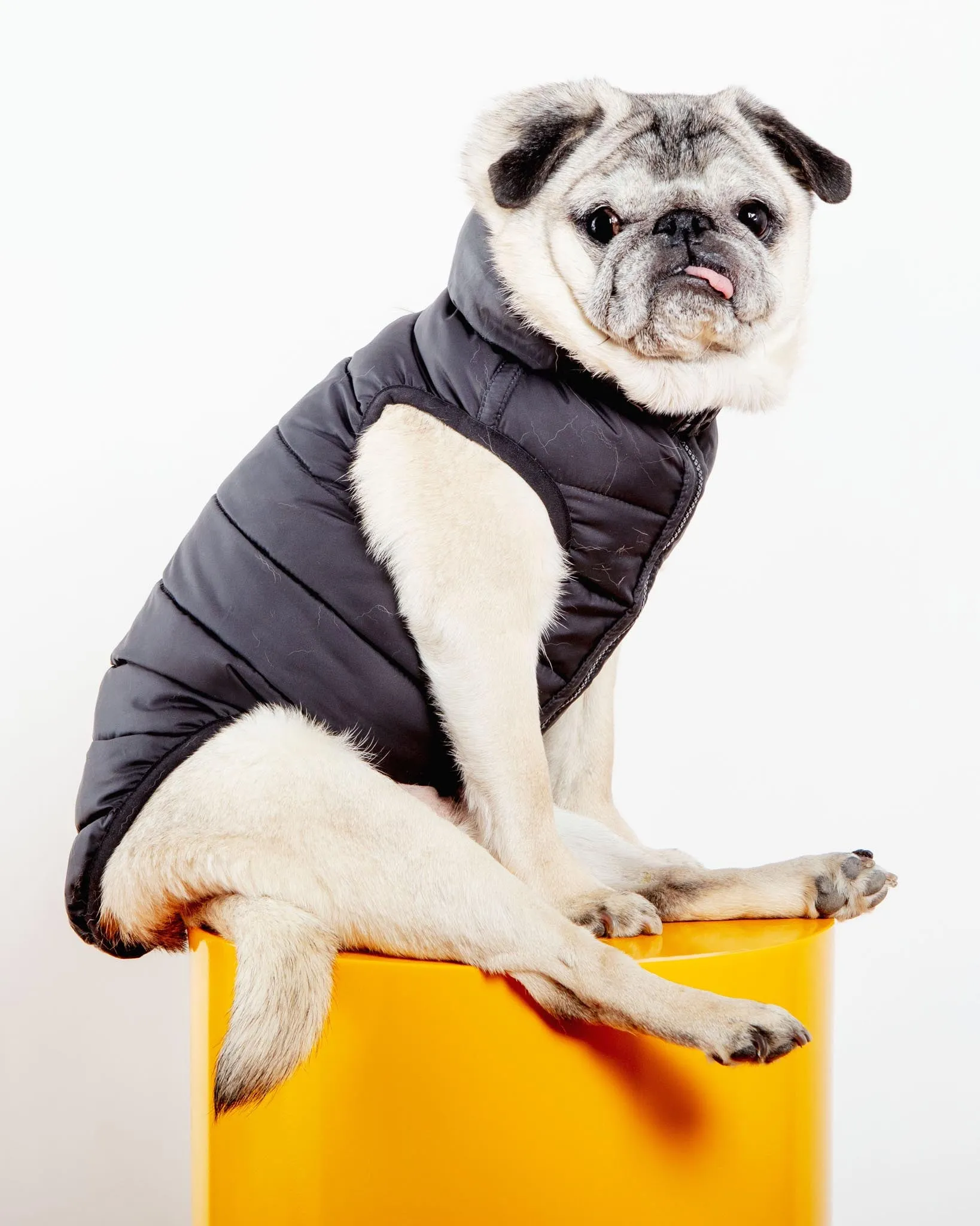 Reversible AiryVest in Black   Black Dot (DOG & CO. Exclusive) (FINAL SALE)