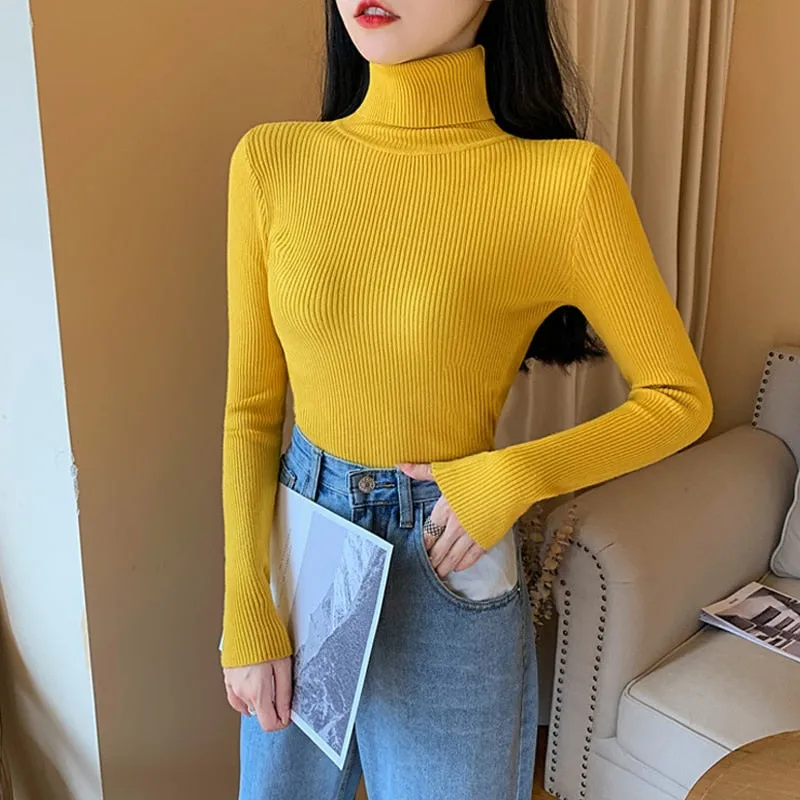 Women Long Sleeve Knitted Sweater